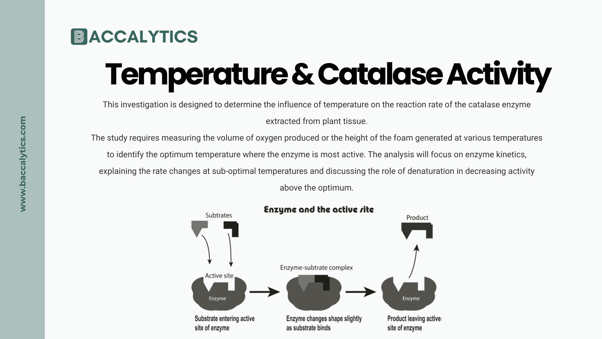 Temperature & Catalase Activity