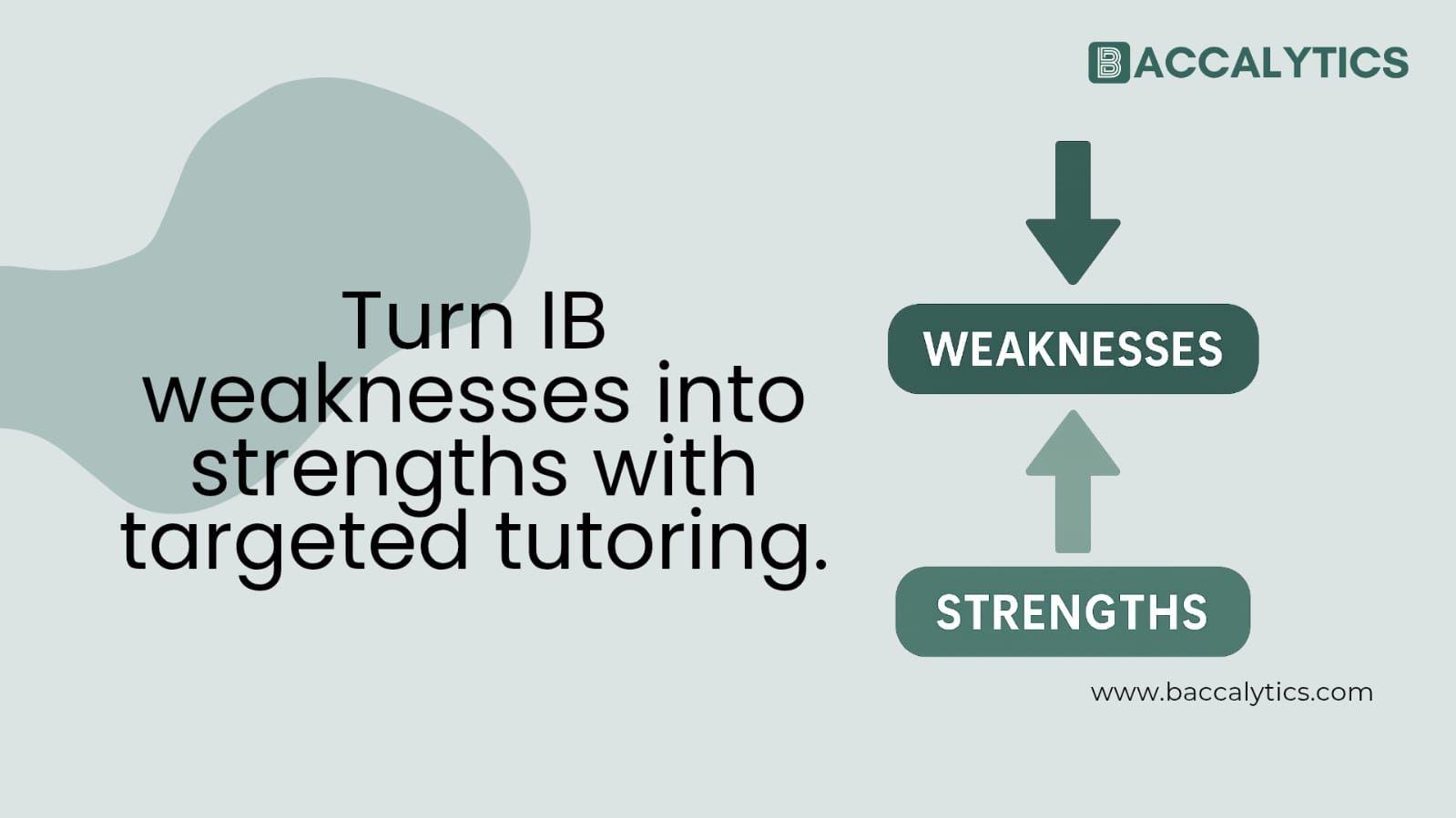 Turn IB weaknesses into strengths with targeted tutoring.