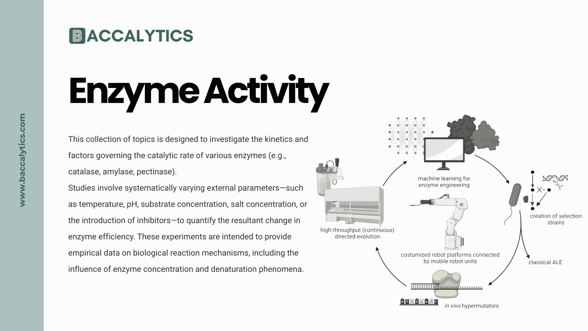 Enzyme Activity